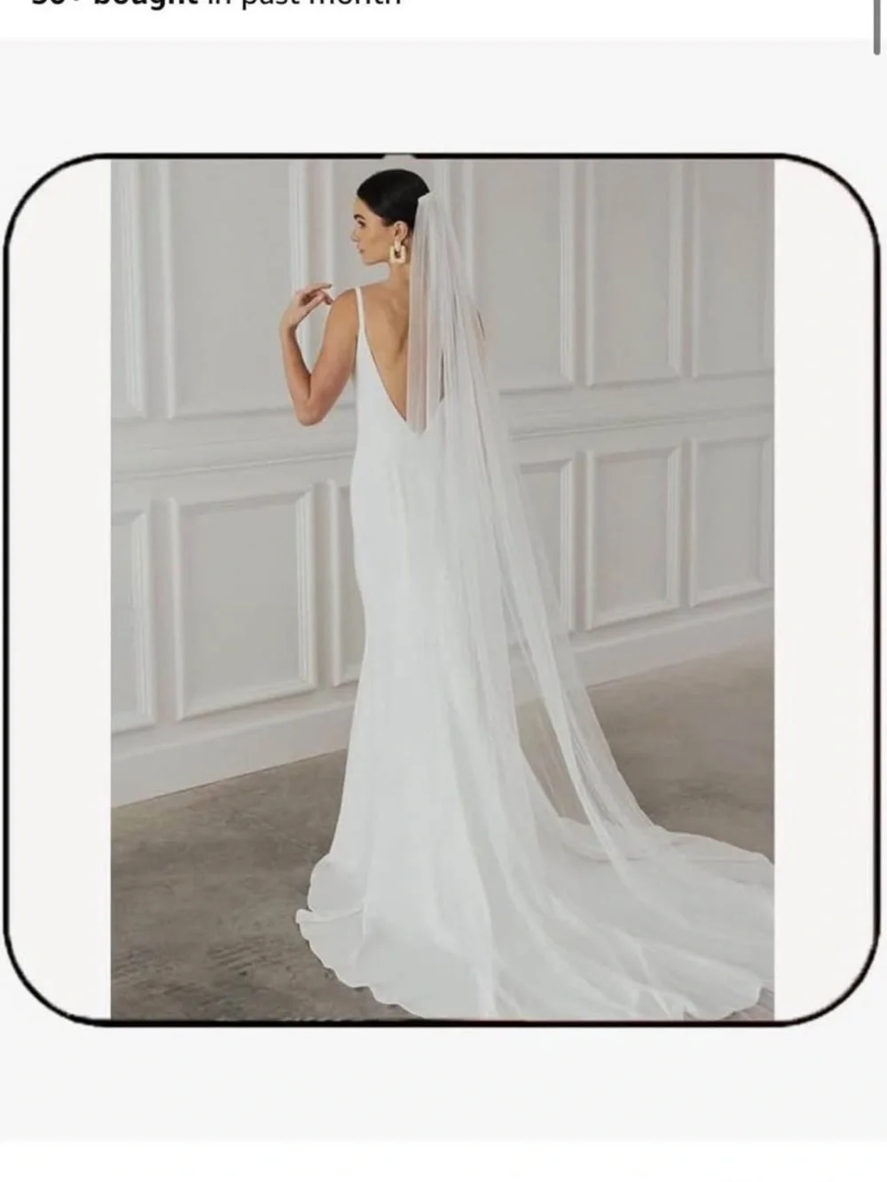 Cathedral Length Veil